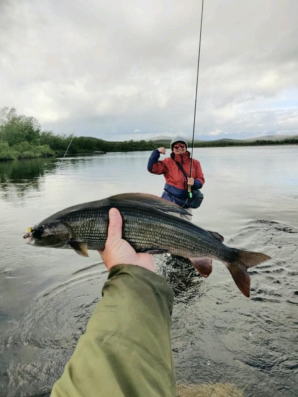 Catch a trophy size grayling in Finnish Lapland