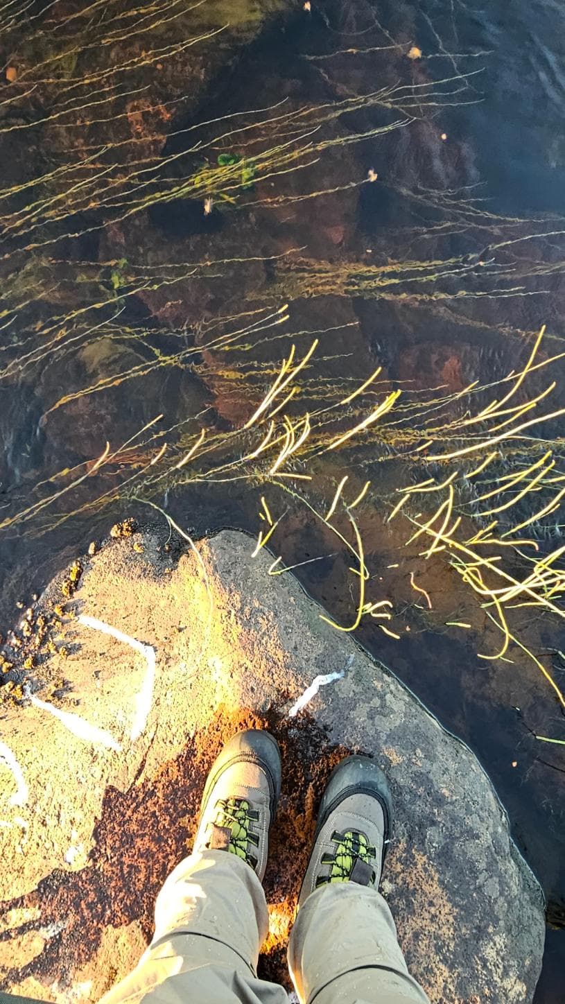 Kirkkaat vedet pienessä Lapin joessa