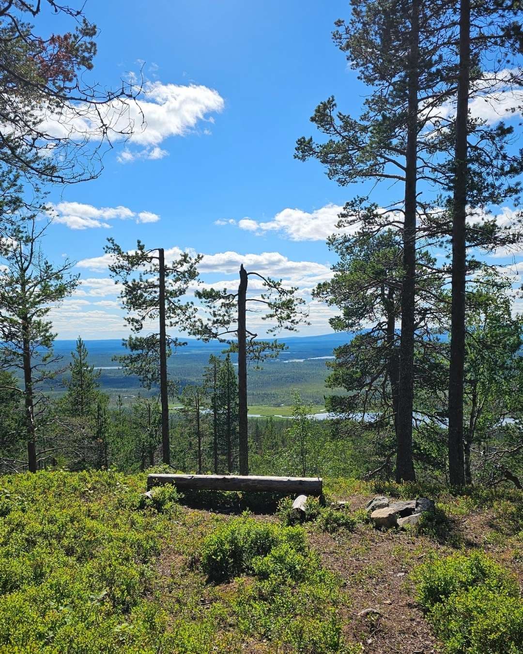 Un banc sur les pentes du fell de Levi invite à contempler le paysage vers Kittilä