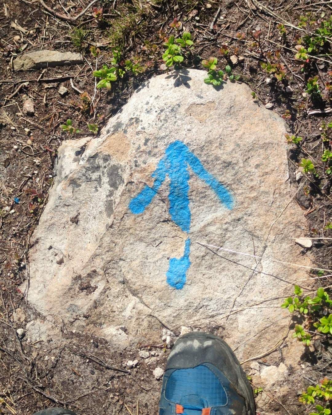 Une flèche directionnelle bleue guide les randonneurs sur le sentier de l'Âge de Glace