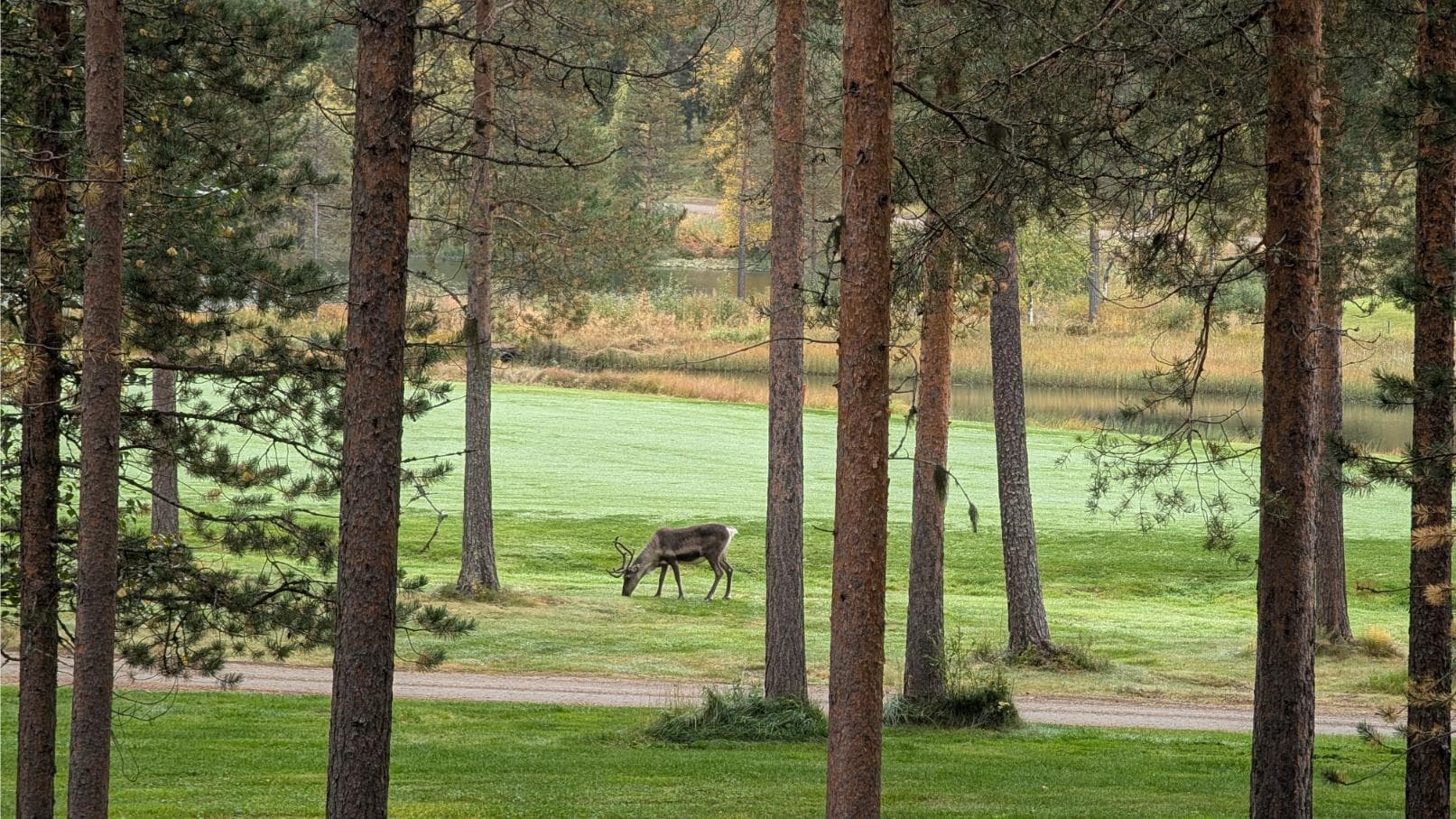 Blick von der Hiihtogreeni-Terrasse auf das 18. Green