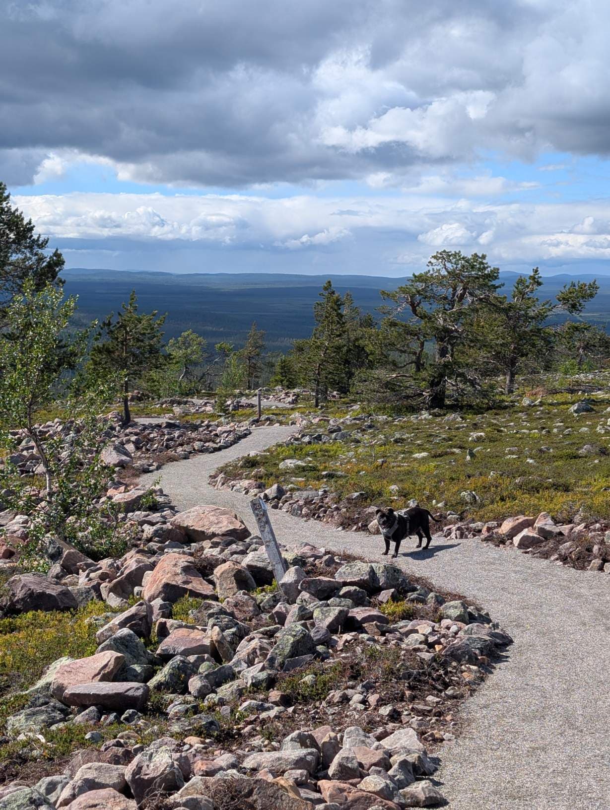 Wunderschöner Fjellweg in Levi