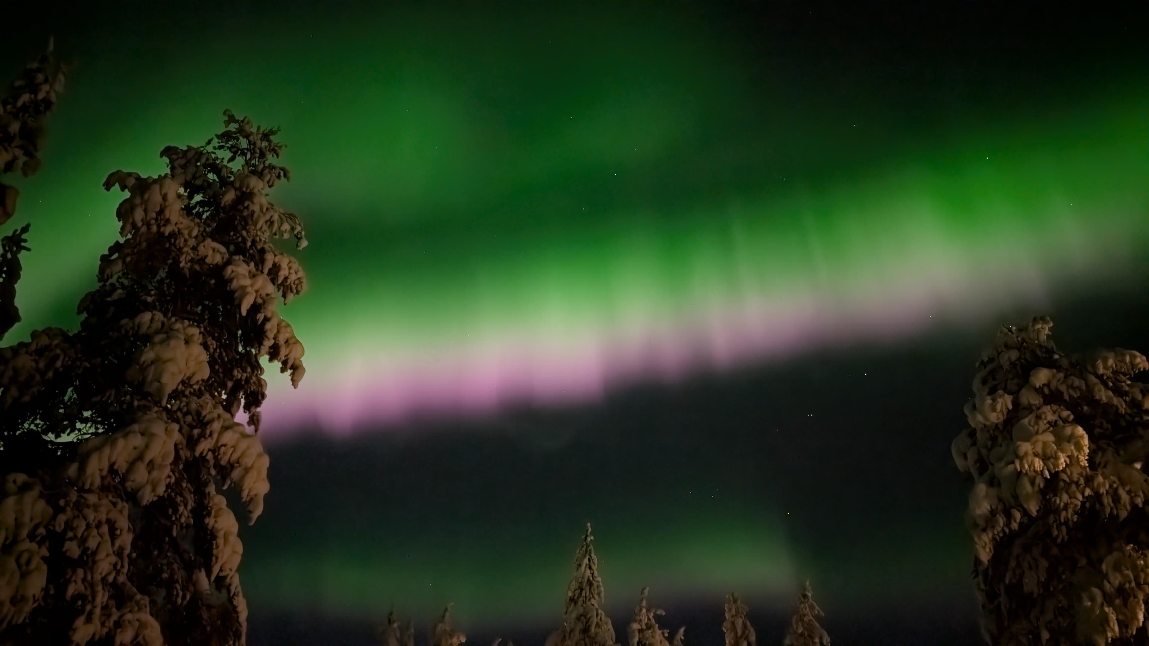 Northern Lights Hunting