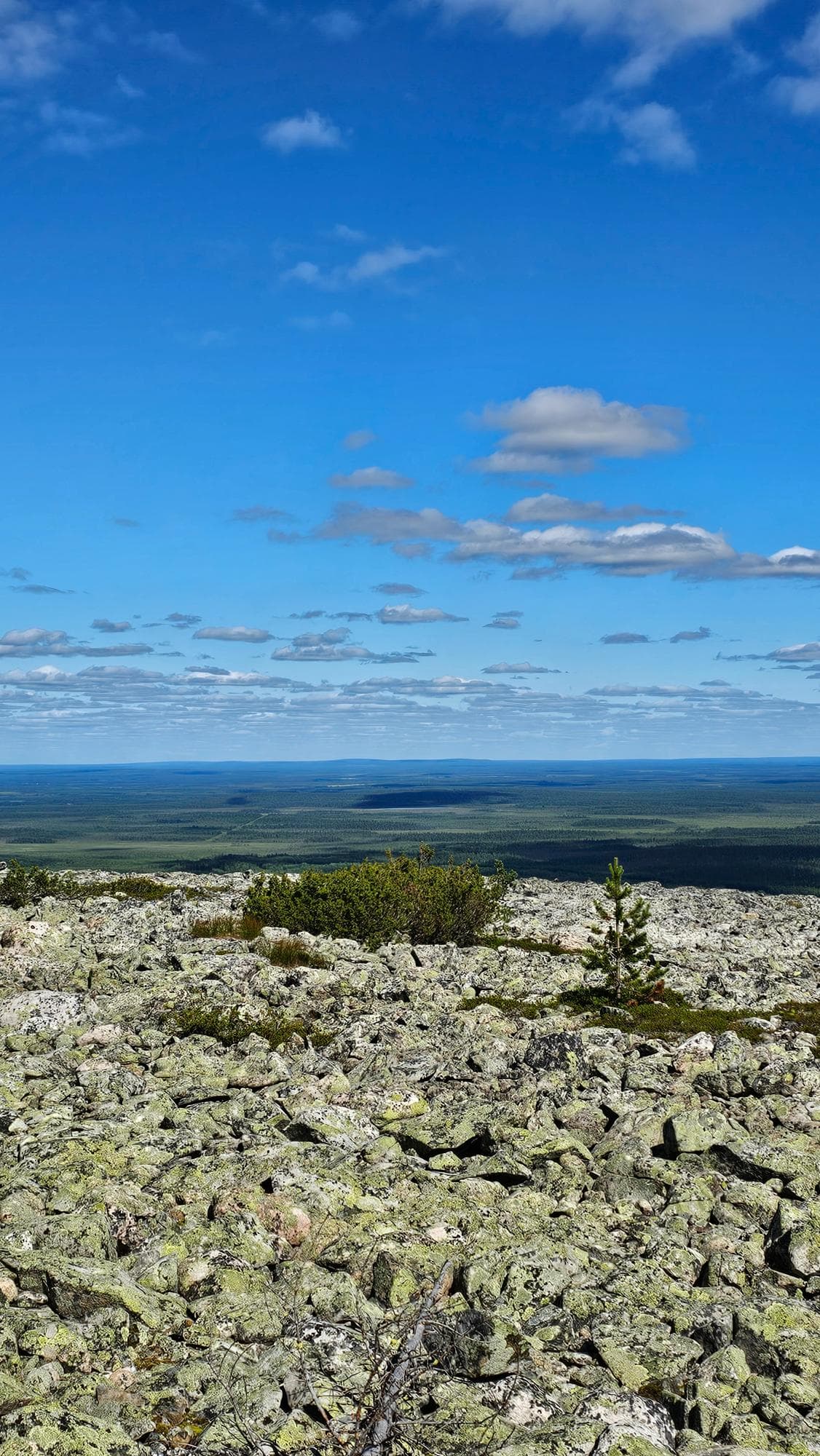 Mountain Biking