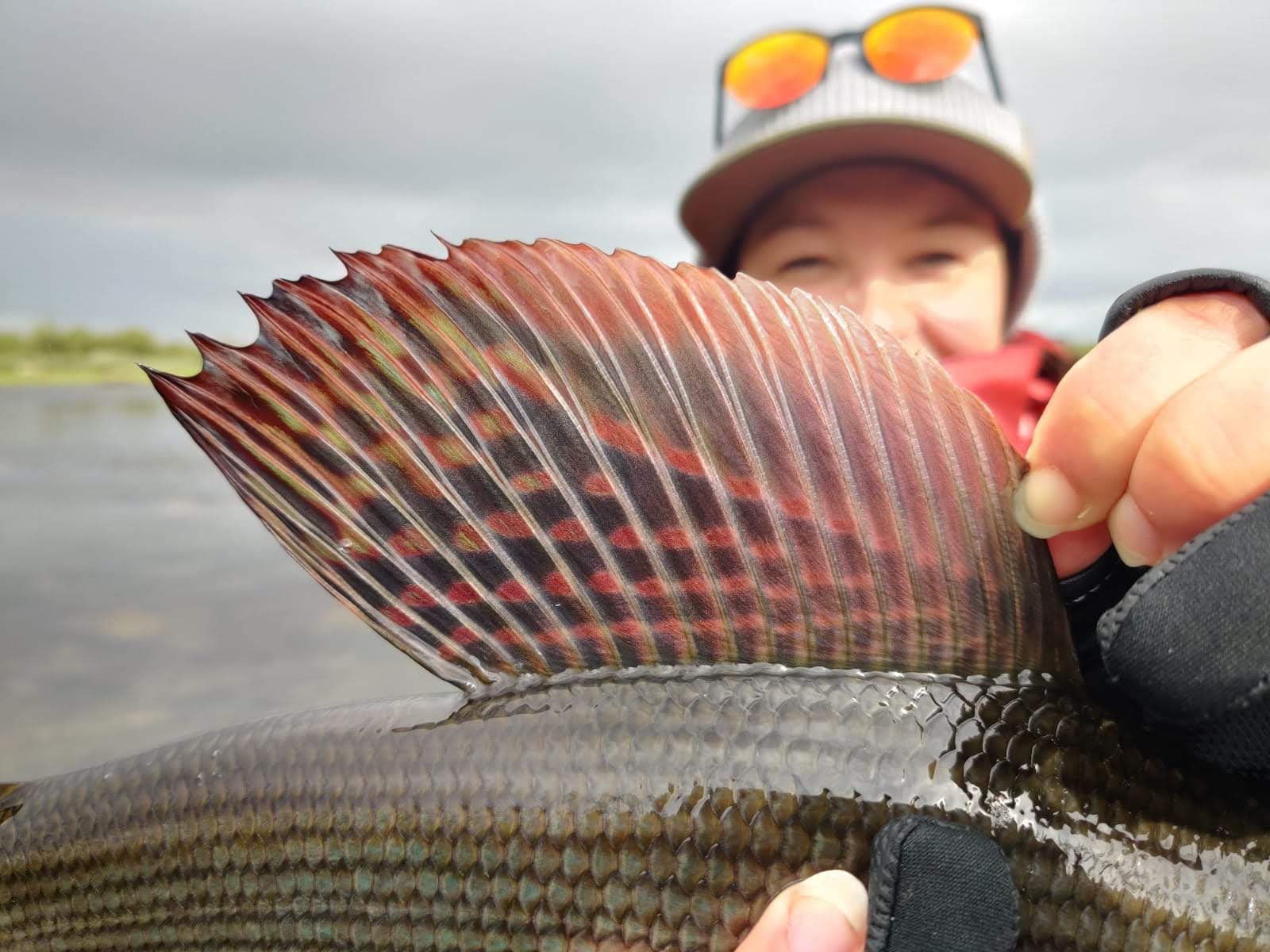 Fly Fishing