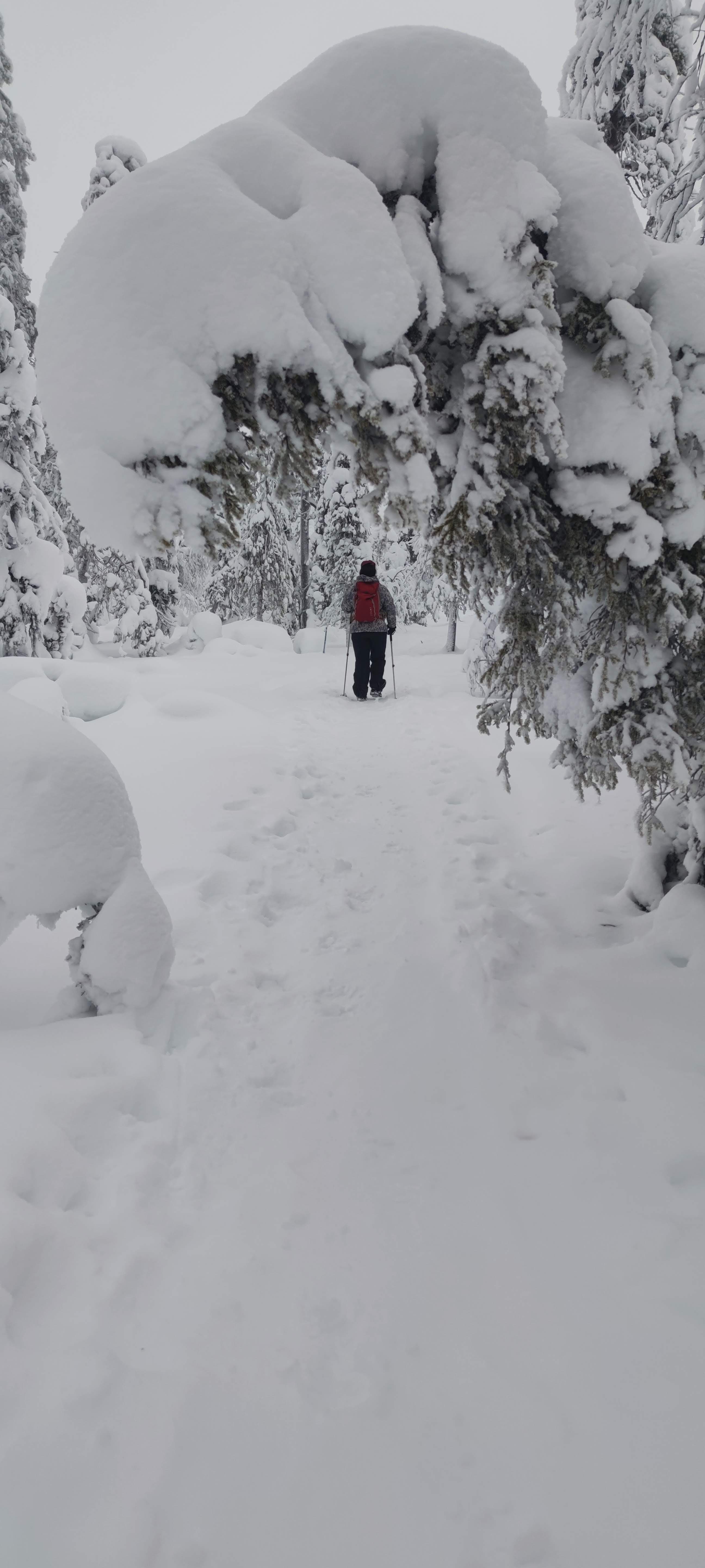 Hiking & Snowshoeing